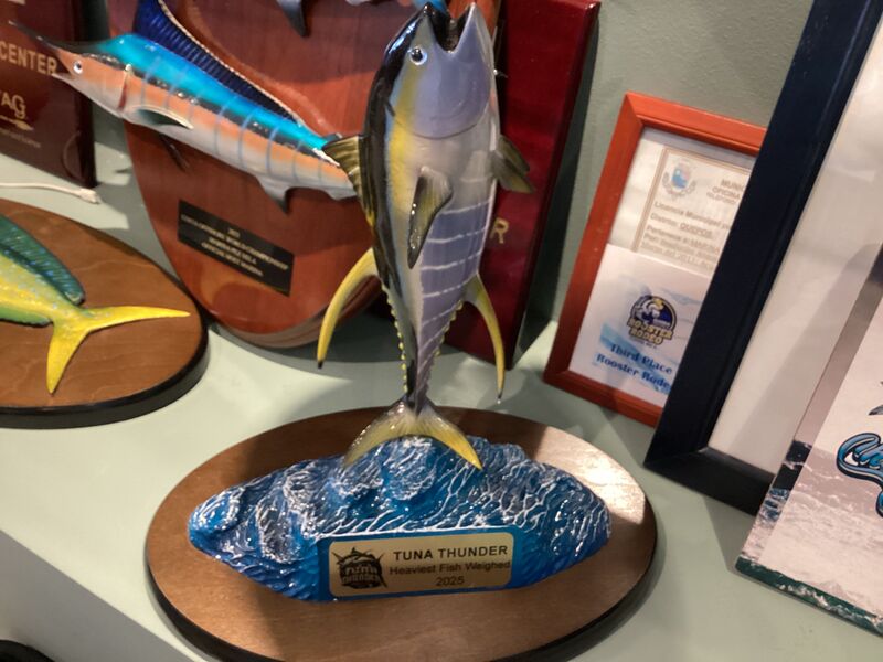 Image of a Dorado caught by Phill Hooper on team Spacecity WrAnglers / Three Brothers at the 2025 Tuna Thunder